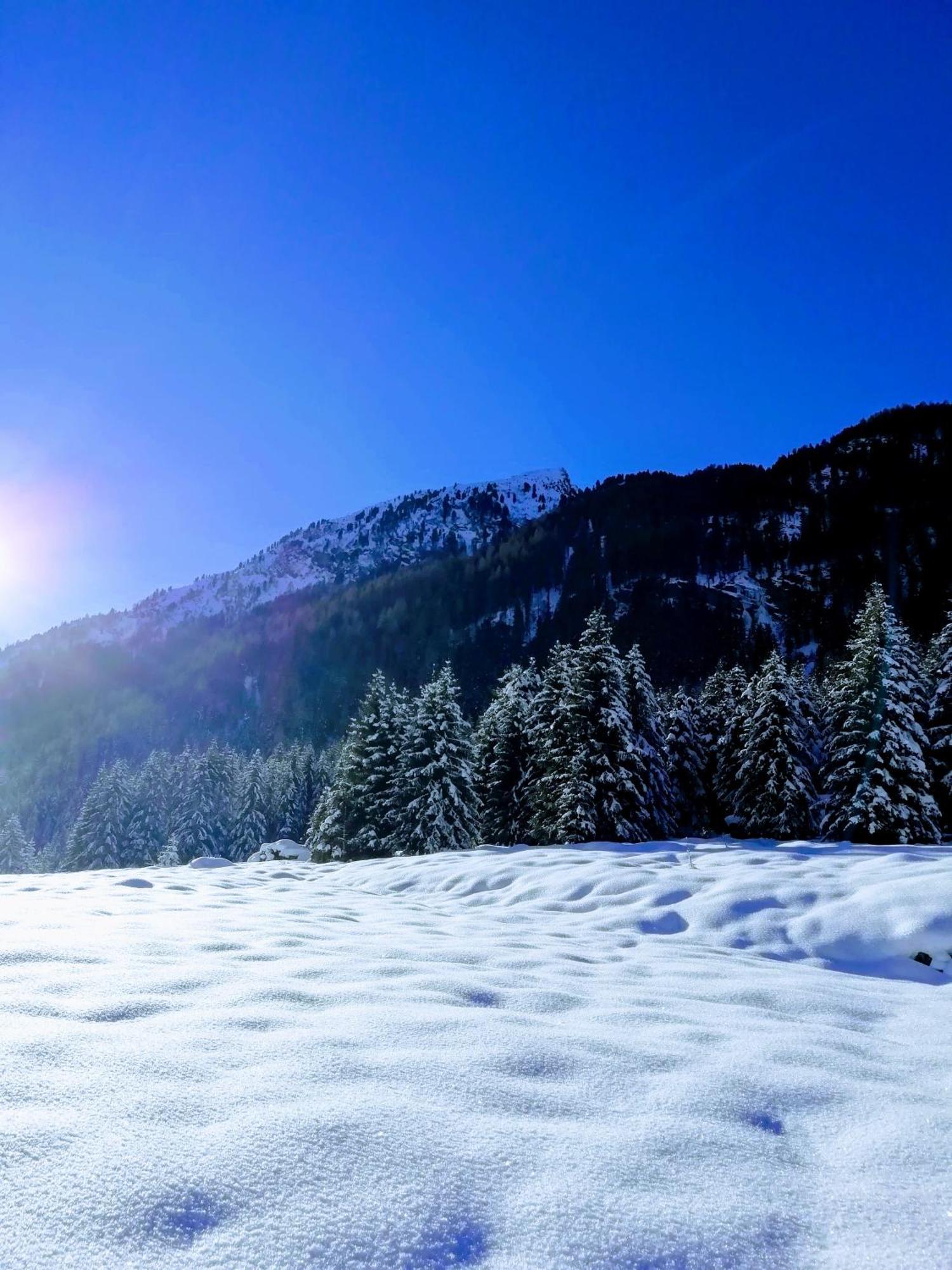 Bergdiamant *